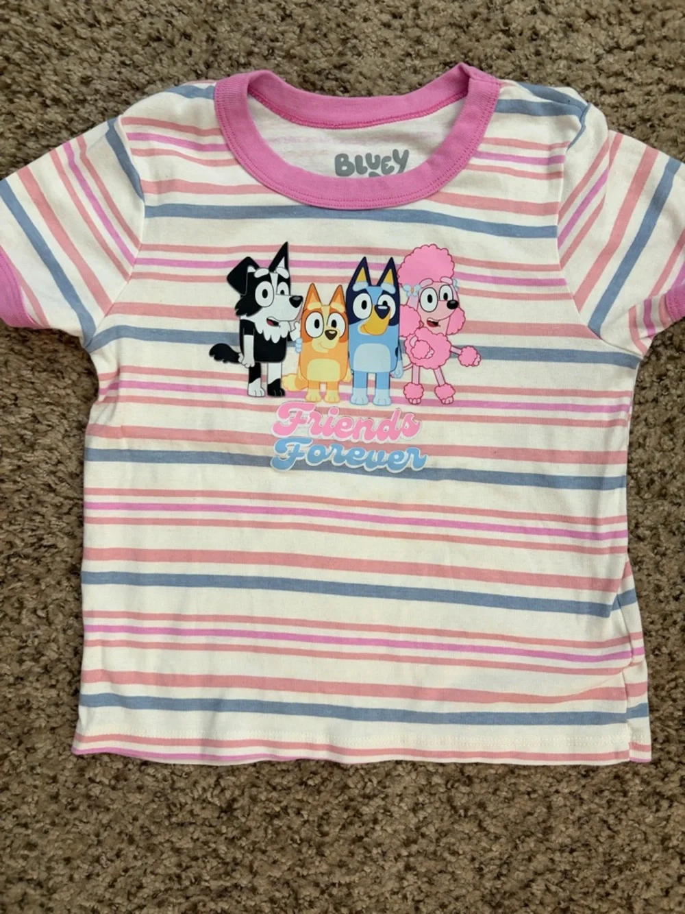 Bluey 'Friends Forever' Pink Striped Kids Tee